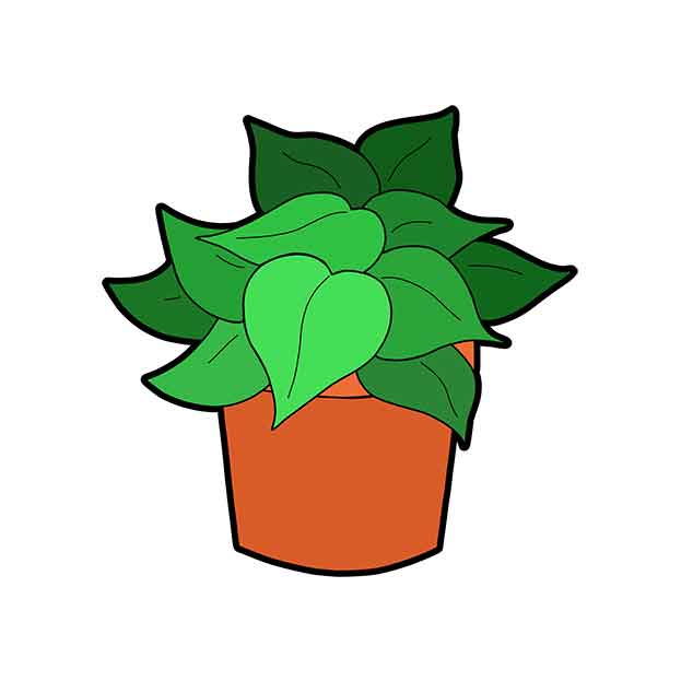 plant