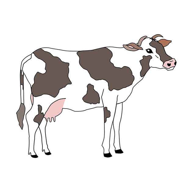 cow