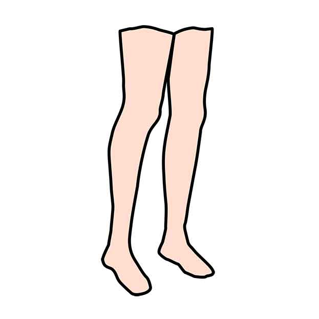 legs